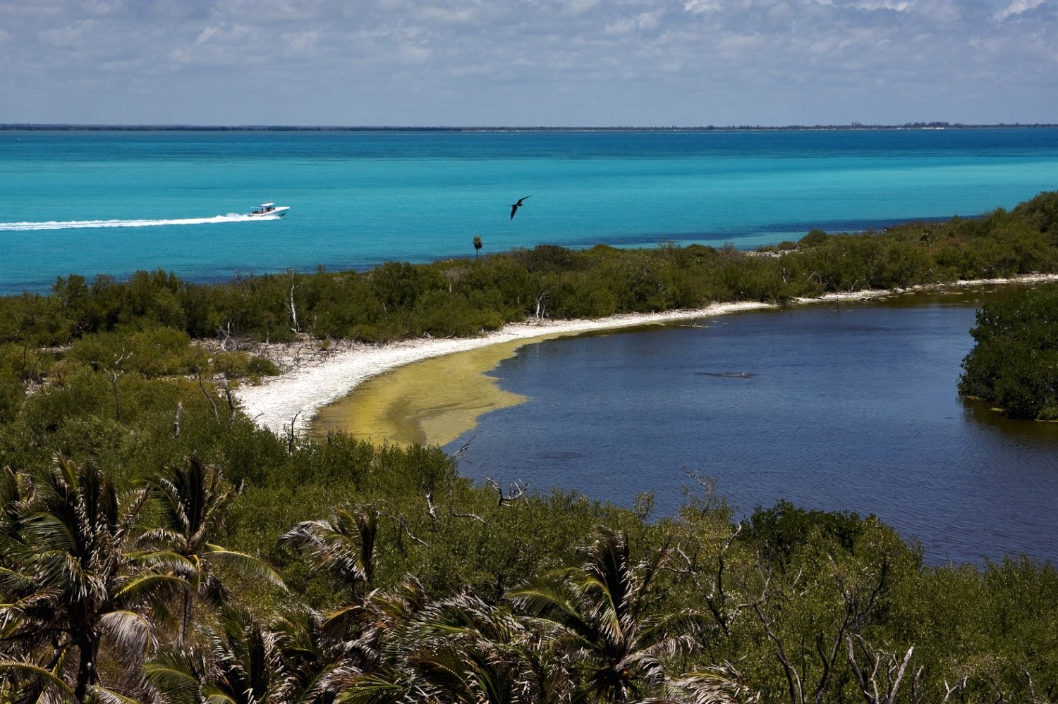 Isla-Contoy-Resized.jpg